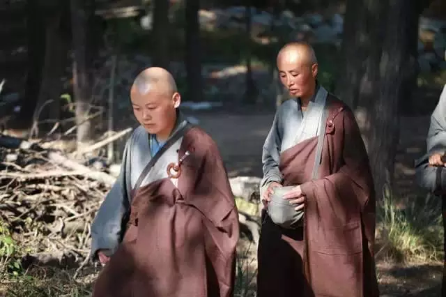 「偷拍」中國真正的尼姑生活...看得我心頭一震!怎麼跟我知道的不一樣!