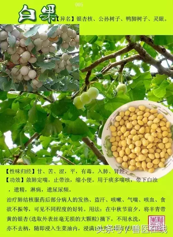 300種中草藥彩色圖譜賞析(收藏慢慢看)