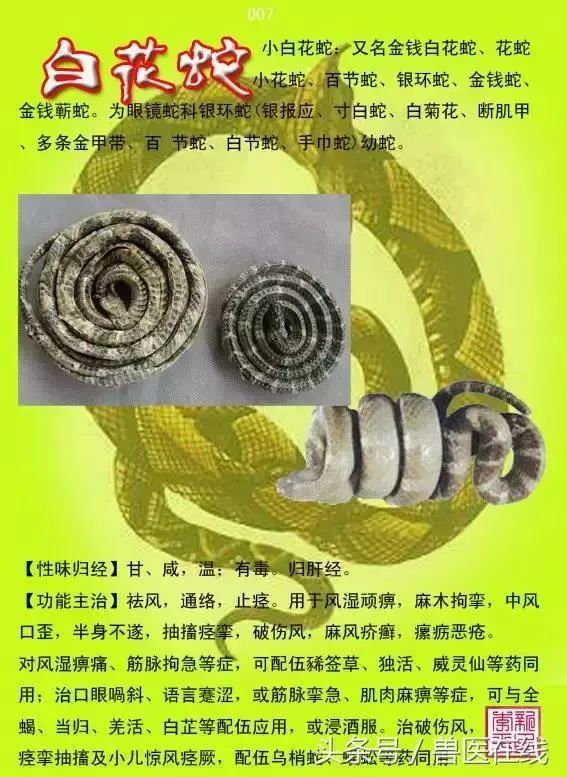 300種中草藥彩色圖譜賞析(收藏慢慢看)