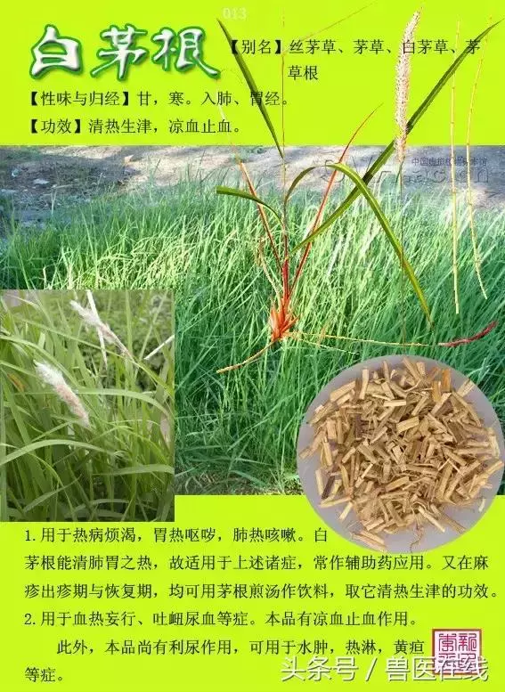 300種中草藥彩色圖譜賞析(收藏慢慢看)