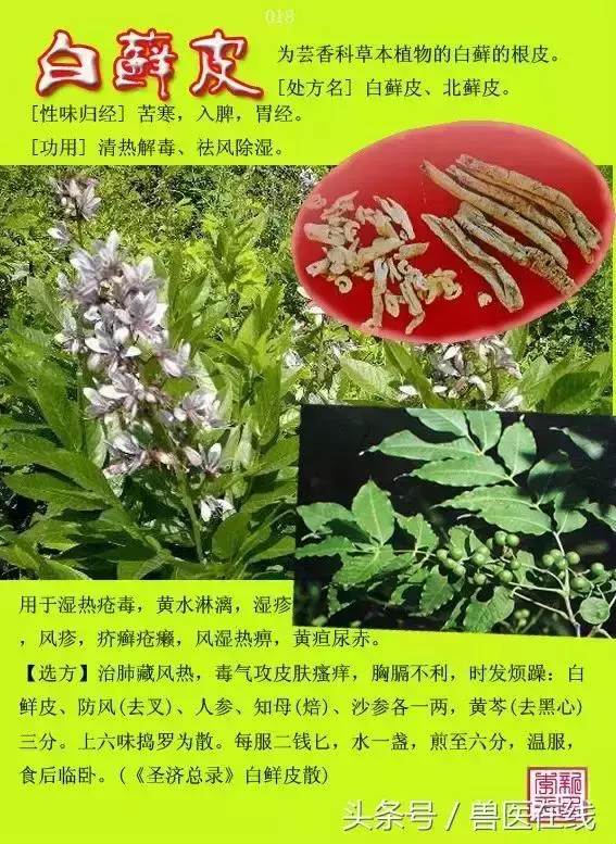 300種中草藥彩色圖譜賞析(收藏慢慢看)