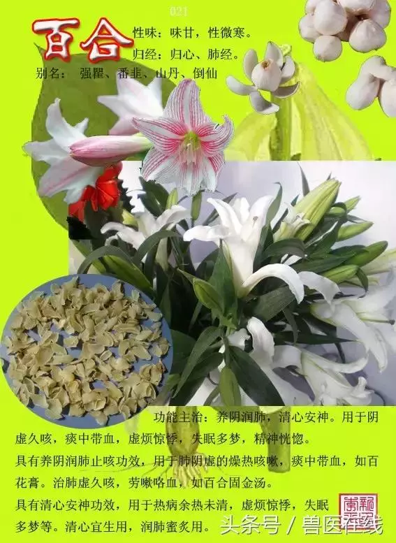 300種中草藥彩色圖譜賞析(收藏慢慢看)