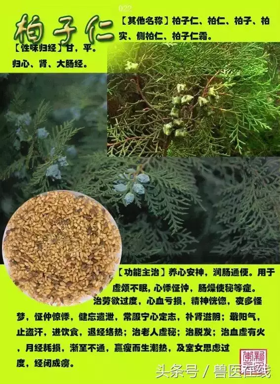300種中草藥彩色圖譜賞析(收藏慢慢看)