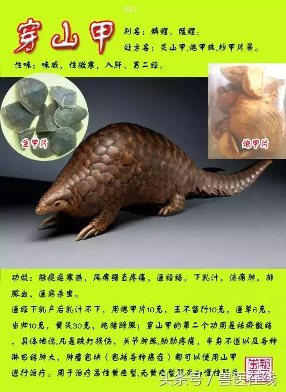 300種中草藥彩色圖譜賞析(收藏慢慢看)