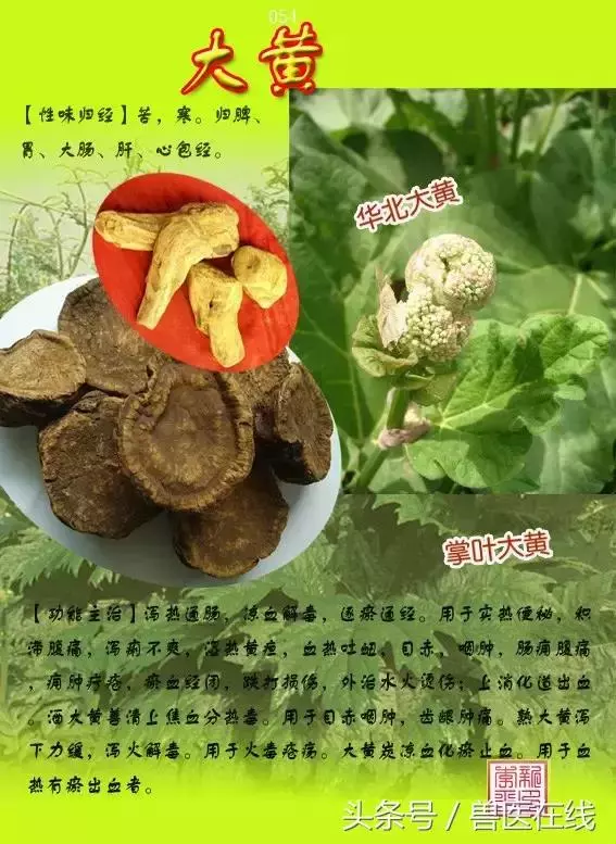 300種中草藥彩色圖譜賞析(收藏慢慢看)