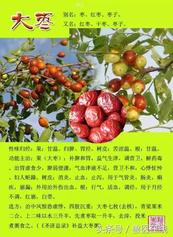 300種中草藥彩色圖譜賞析(收藏慢慢看)