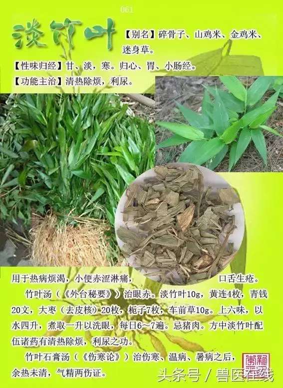 300種中草藥彩色圖譜賞析(收藏慢慢看)