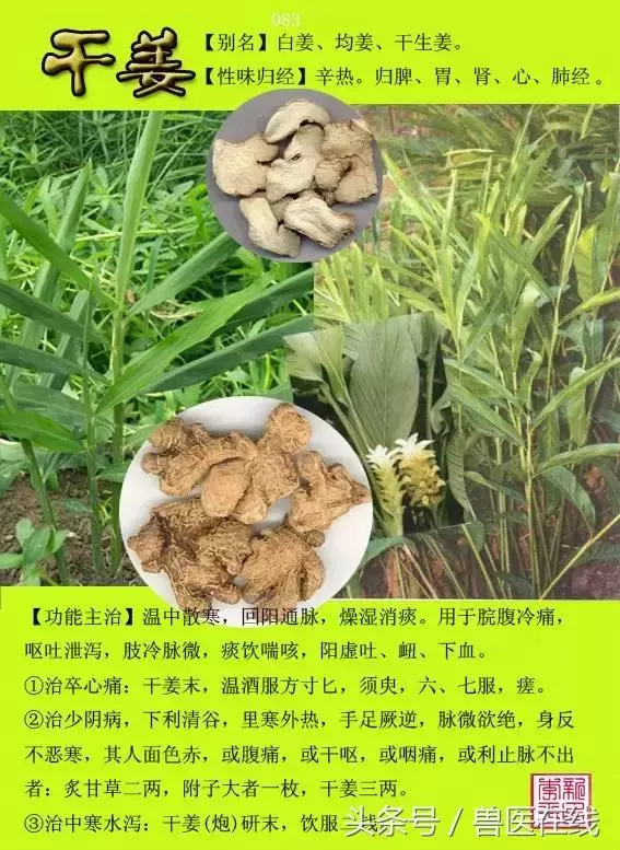 300種中草藥彩色圖譜賞析(收藏慢慢看)