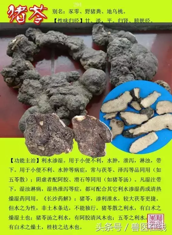 300種中草藥彩色圖譜賞析(收藏慢慢看)