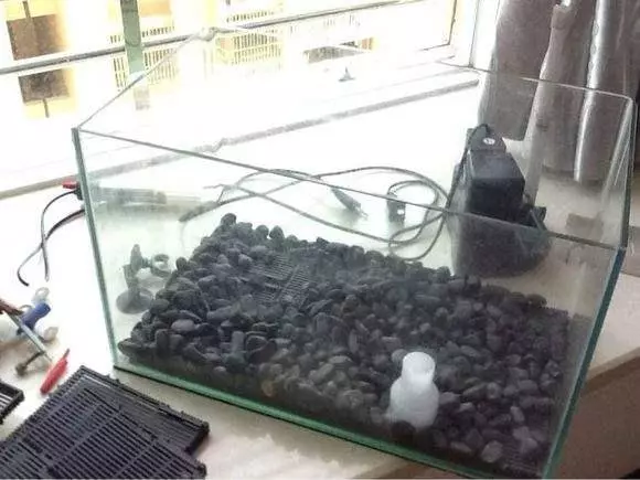 家中出現這3種現象,家運必有大破財,財路被堵死