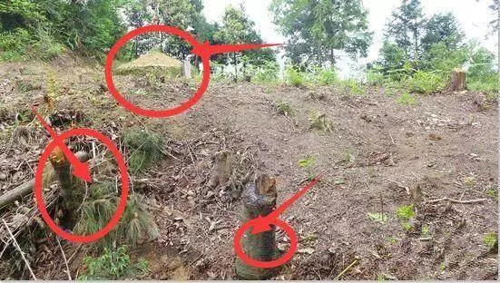 家中出現這3種現象,家運必有大破財,財路被堵死