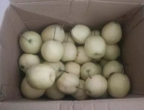 新竹女前夫寄來一箱梨,現夫收到嫌不吉利轉送清潔工,三天後清潔工成鄰居
