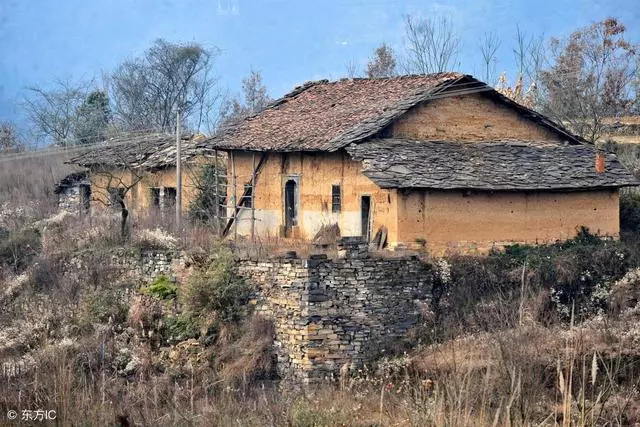 鄉下婆婆進城,最近發現她偷偷往外跑,跟去後眼前畫面,我愣住了