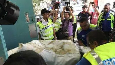 【解剖檢驗結果出爐】梅勻鉼死因真相揭曉了!