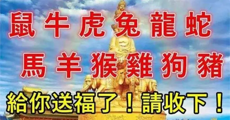 珍貴畫面12生肖春節前為您送福,見其者今年一定大爆發