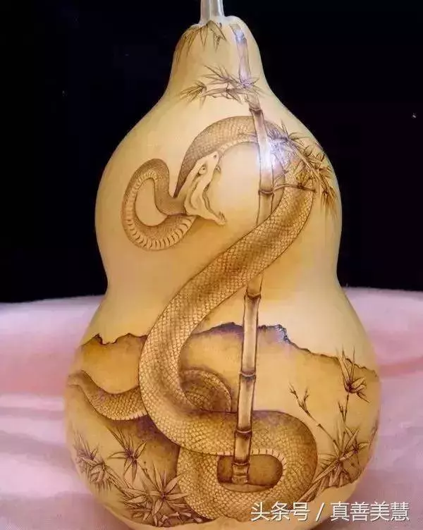 珍貴畫面12生肖春節前為您送福,見其者今年一定大爆發