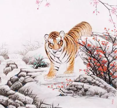 這七個生肖千萬不要惹,2019年他們實在太旺了