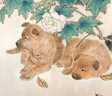 這七個生肖千萬不要惹,2019年他們實在太旺了