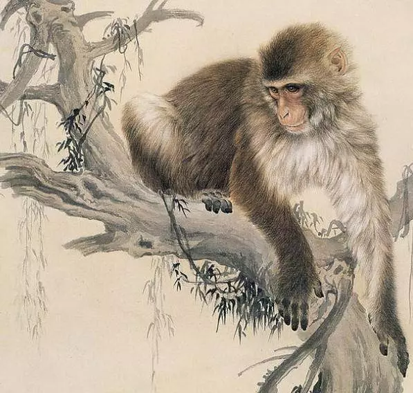 這七個生肖千萬不要惹,2019年他們實在太旺了