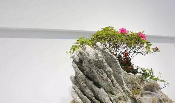 2019豬年【初一】財氣爆發的四個生肖,有你嗎?