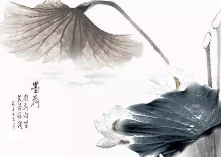 12生肖裡面越老越有福氣的生肖,看看有你嗎?立即分享出去添福添運添財