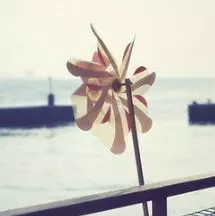 致女人:人生總有那麼多「無奈」:與其找「大樹」好乘涼, 不如自栽自養自「乘涼」!