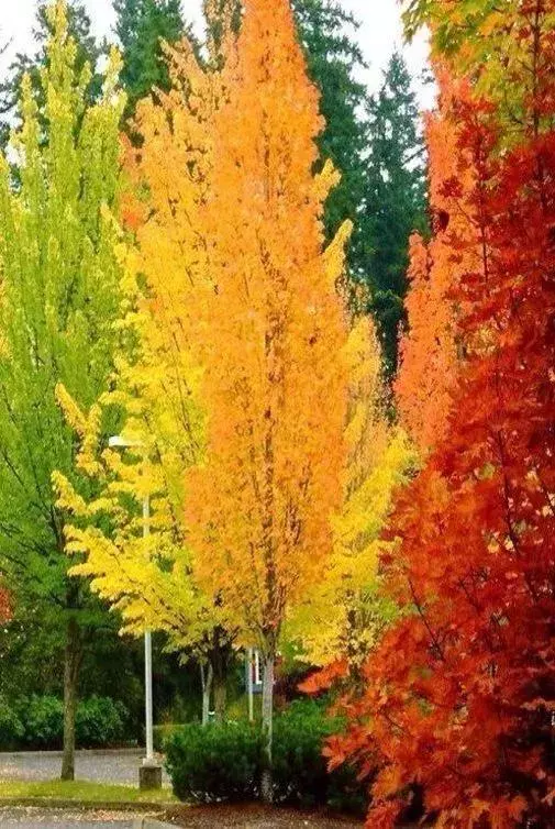 「52張世界級照片」看遍萬年奇觀!每張都太刺激,太壯觀了