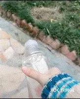 對於有攻擊傾向的狗狗,我們該拿它怎麼辦?