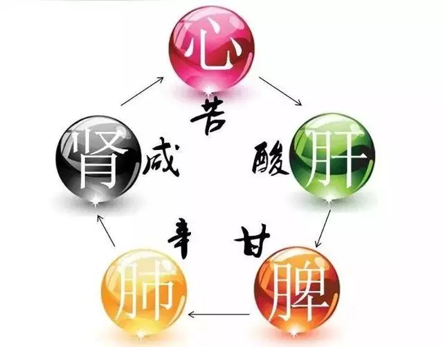 酸入肝,辛入肺,苦入心,甘入脾,咸入腎,養五臟,記住5個字