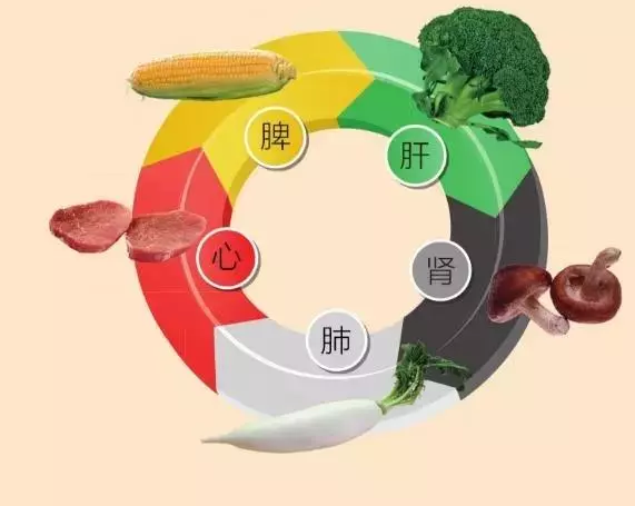 酸入肝,辛入肺,苦入心,甘入脾,咸入腎,養五臟,記住5個字