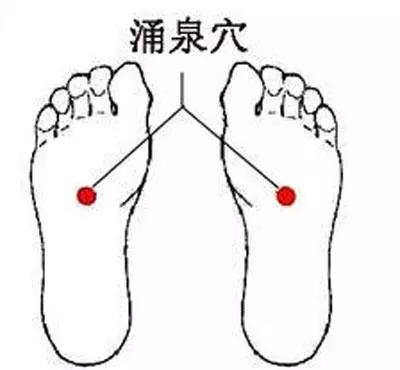 酸入肝,辛入肺,苦入心,甘入脾,咸入腎,養五臟,記住5個字