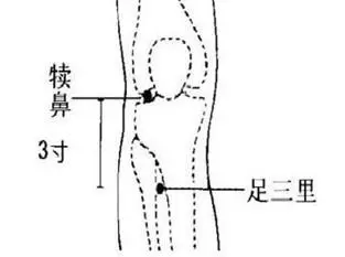 酸入肝,辛入肺,苦入心,甘入脾,咸入腎,養五臟,記住5個字