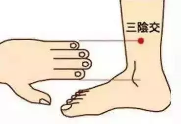 酸入肝,辛入肺,苦入心,甘入脾,咸入腎,養五臟,記住5個字