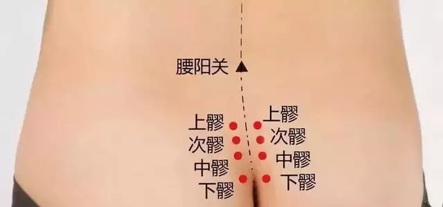 「臀部」是個重要的養生區,3個動作幫你激活這塊肌肉