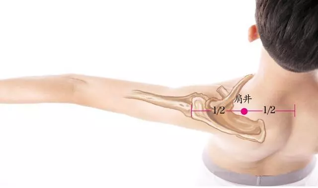 每天按揉這4大膽經名穴,膽囊炎、近視、頸椎病統統都好了!
