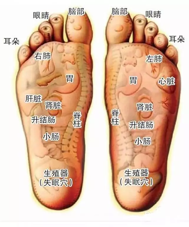 養生先養腳,養腳永不老!揉一揉,泡一泡,防病又健身!