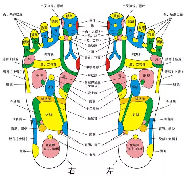 養生先養腳,養腳永不老!揉一揉,泡一泡,防病又健身!