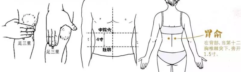 不但美味,它還是便秘調理小能手,經常吃,潤腸通便,便秘不來擾