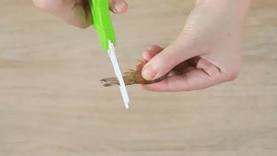 千萬別忽略這一步,會影響孩子的智力發育!3個小技巧送給你