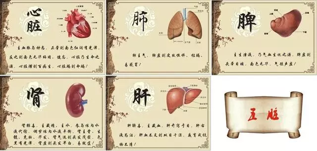 經常愛生氣的人,你的肝不好吧?聽中醫專家分析五臟和情緒的關係