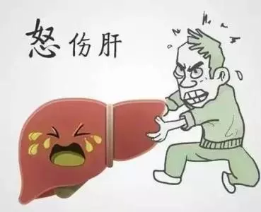 經常愛生氣的人,你的肝不好吧?聽中醫專家分析五臟和情緒的關係