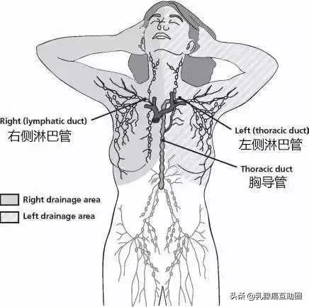 一圖看懂!如何避免乳腺癌術後淋巴水腫