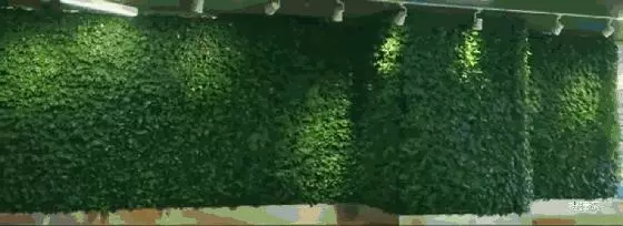 騰訊的辦公樓竟然這麼先進了,怪不得那麼多員工自願加班不想回家