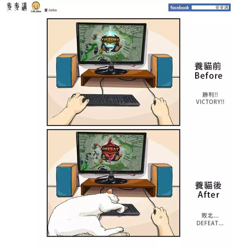 14件「只有家中被汪喵佔據」才會懂的奴才人生 爸爸媽媽都是變心最快的那一個!
