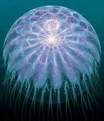 木星上不會有生命?沒有那麼絕對!或有能「吃閃電」的生物存在