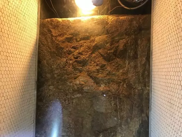 20個讓你光看就想崩潰的「災難級建築」 整個房子都是歪的?!