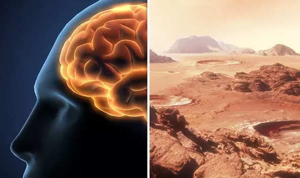 時空旅人稱2030年人類稱霸火星 醫生以為他發瘋「全身檢查後」驚覺:他手腕有穿越時空開關
