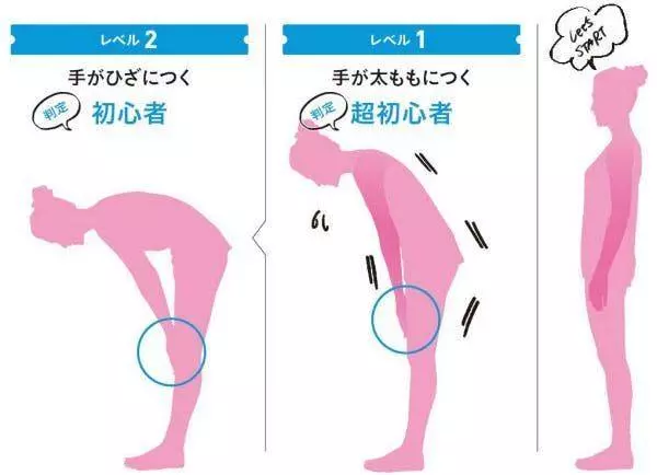 無法彎下腰可能是歪骨盆! 1天5分鐘「拉筋矯正」兩週自然瘦下4kg