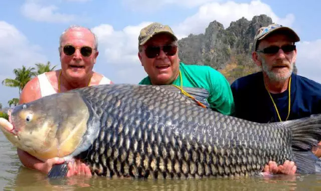 他們把摯友「骨灰」做成魚餌垂釣~竟發生超感人的事情證明奇蹟真的存在呀!