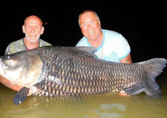 他們把摯友「骨灰」做成魚餌垂釣~竟發生超感人的事情證明奇蹟真的存在呀!
